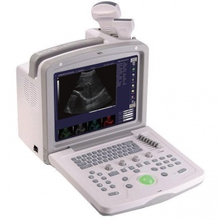 Ветеринарный УЗИ-сканер в комплекте с двумя датчиками WELL'D AcuVista RS880d
