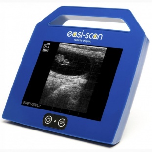 Аппарат ультразвукового сканирования BCF Technology Easi-scan 4