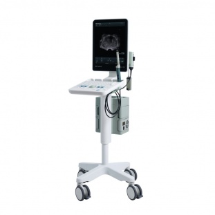 УЗИ аппарат экспертного класса BK Medical Flex Focus 800